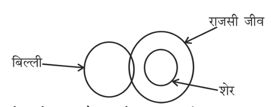 Explanation image